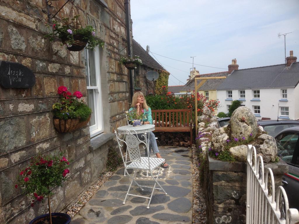 Steeple View Newport (Pembrokeshire) Exterior foto