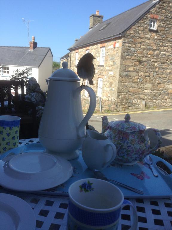 Steeple View Newport (Pembrokeshire) Exterior foto