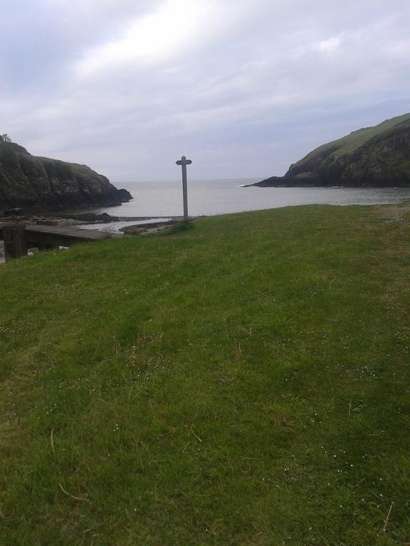 Steeple View Newport (Pembrokeshire) Exterior foto