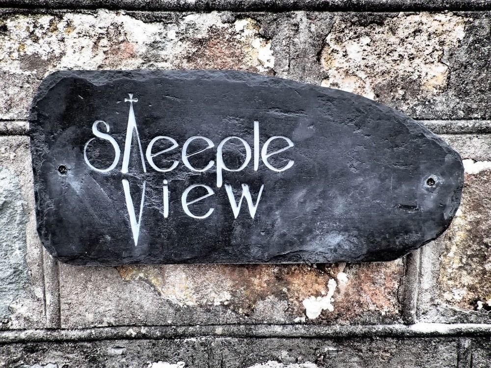 Steeple View Newport (Pembrokeshire) Exterior foto