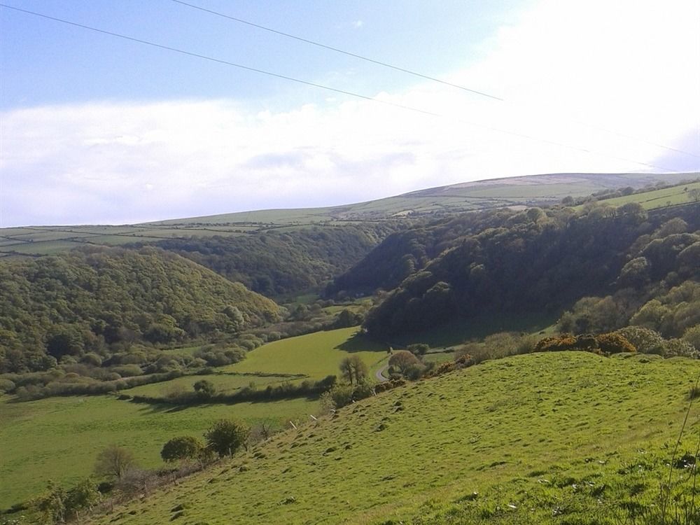 Steeple View Newport (Pembrokeshire) Exterior foto